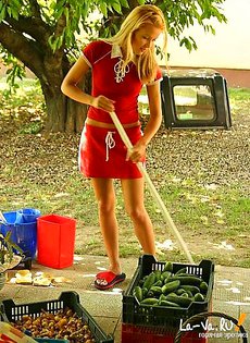 Время сбора урожая