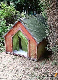 Чудеса жизни